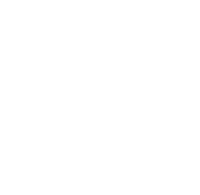 friednfries.com